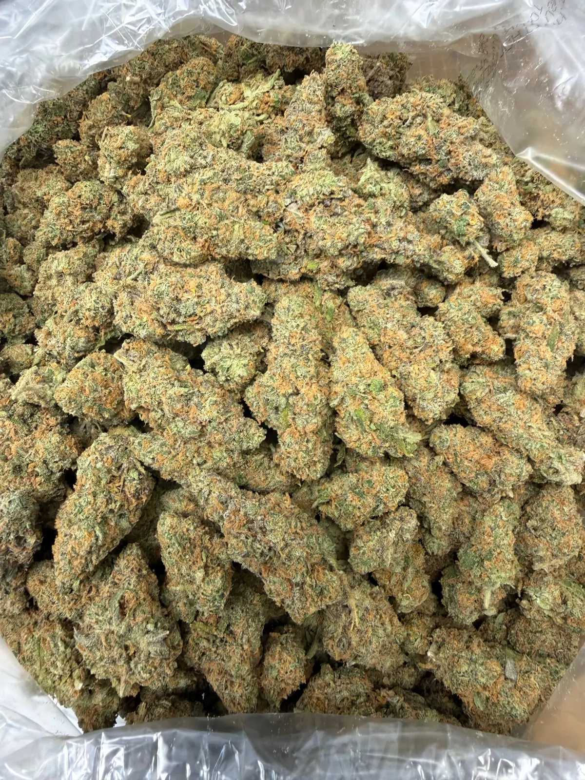 Alaskan Thunder Fuck Flower